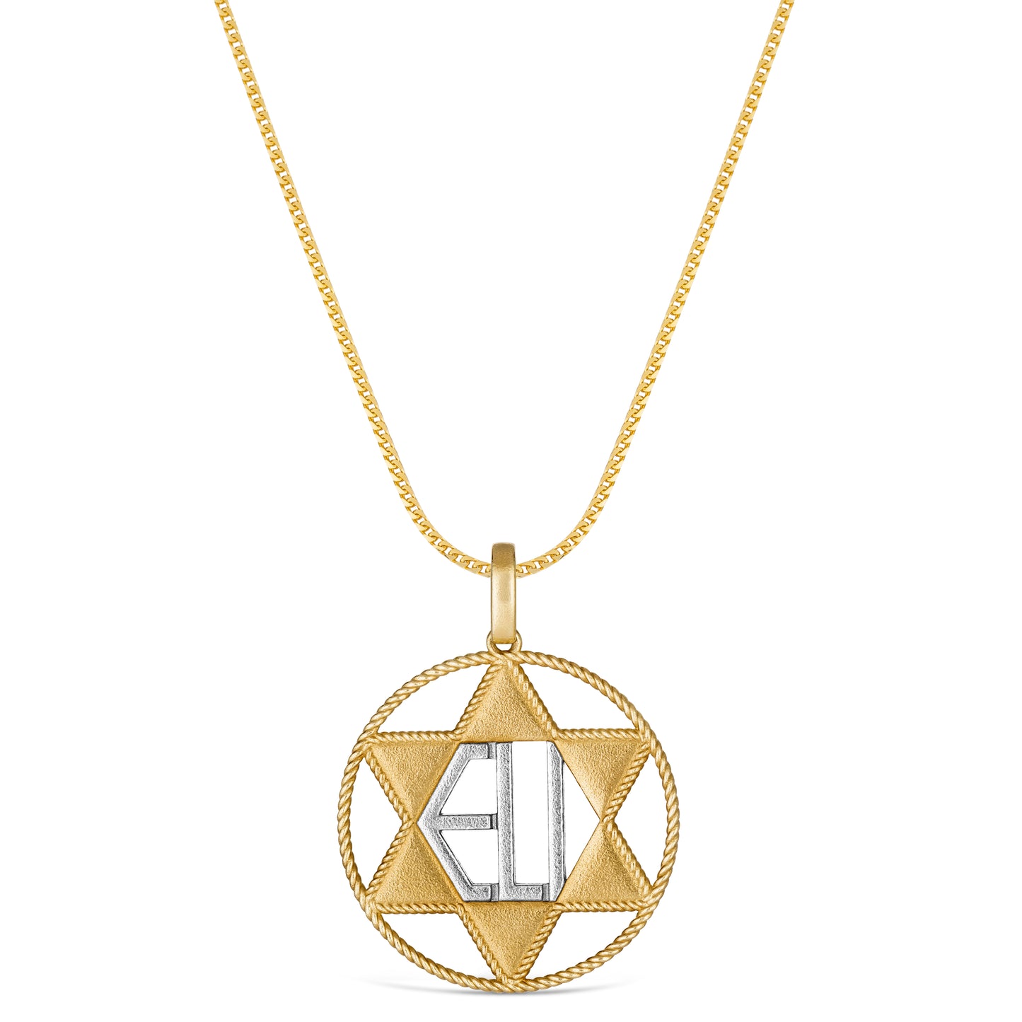 Circle of Life Roped Star of David Pendant