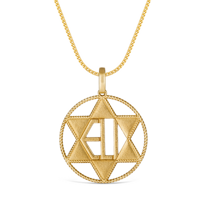 Circle of Life Roped Star of David Pendant