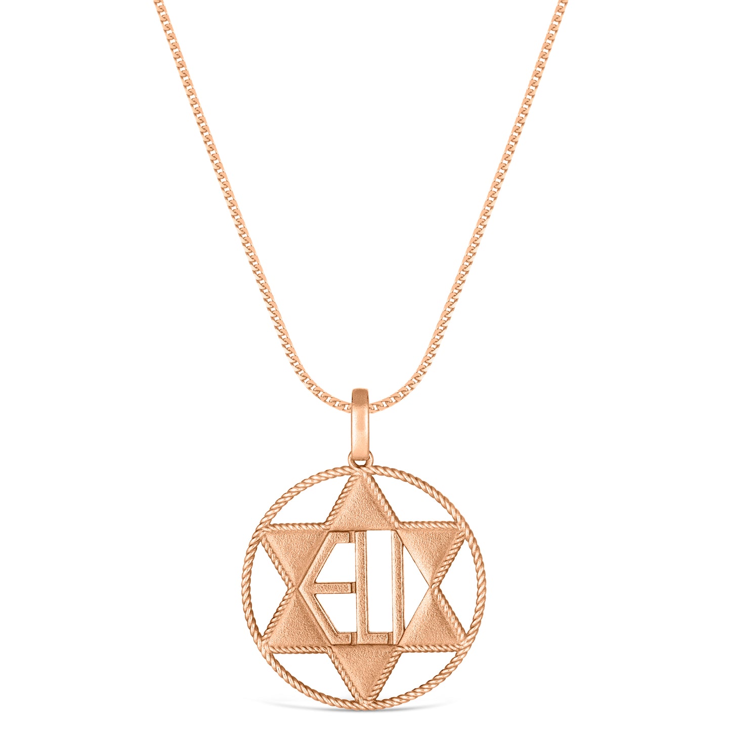 Circle of Life Roped Star of David Pendant