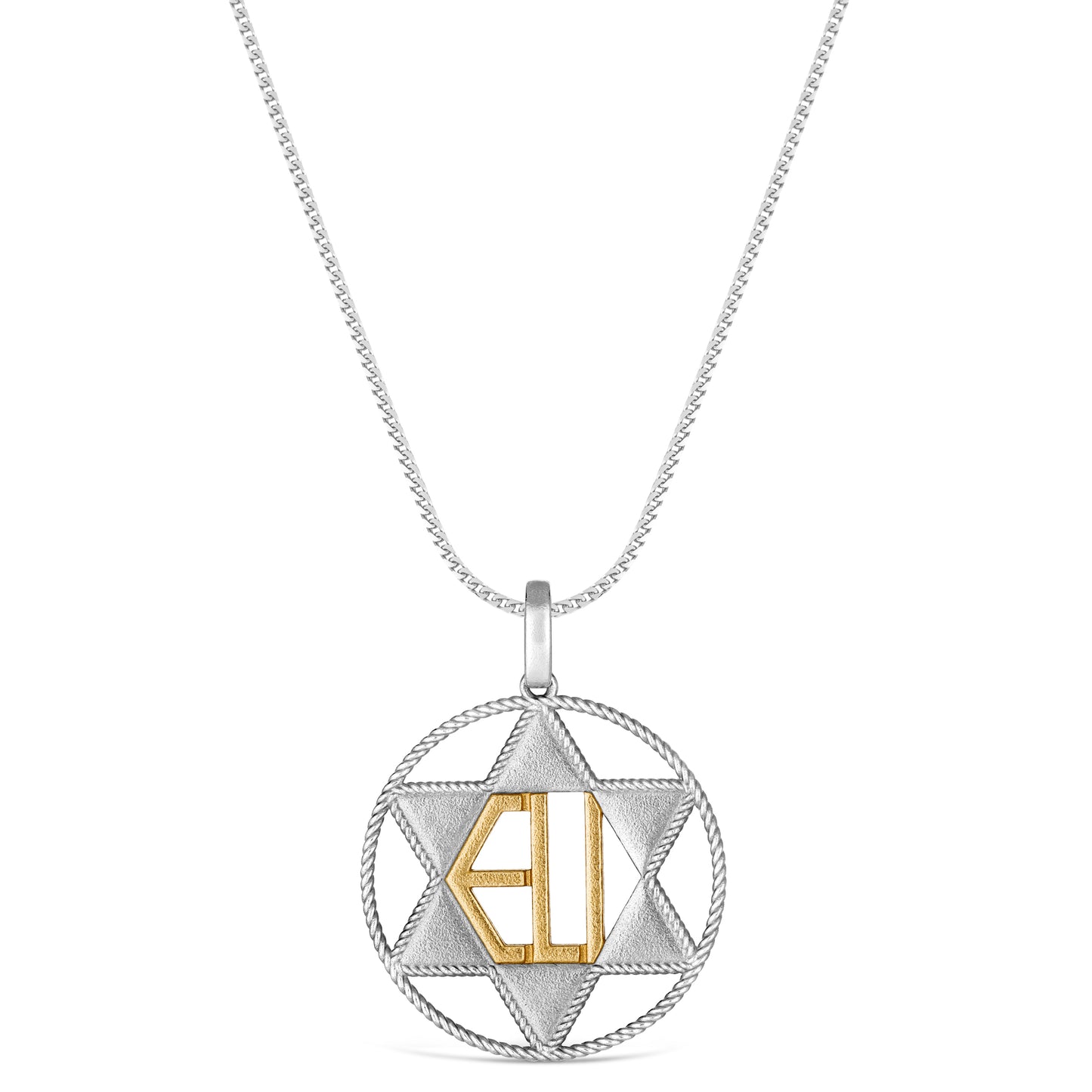 Circle of Life Roped Star of David Pendant