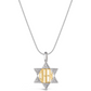 Western Wall Star of David Pendant